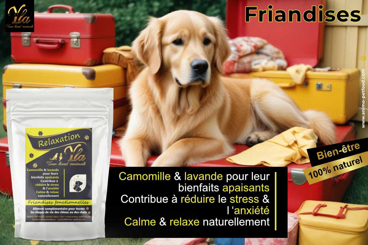 Friandises relaxation pour chien à la camomille et lavande : réduit le stress et l'anxiété, bien-être 100% naturel